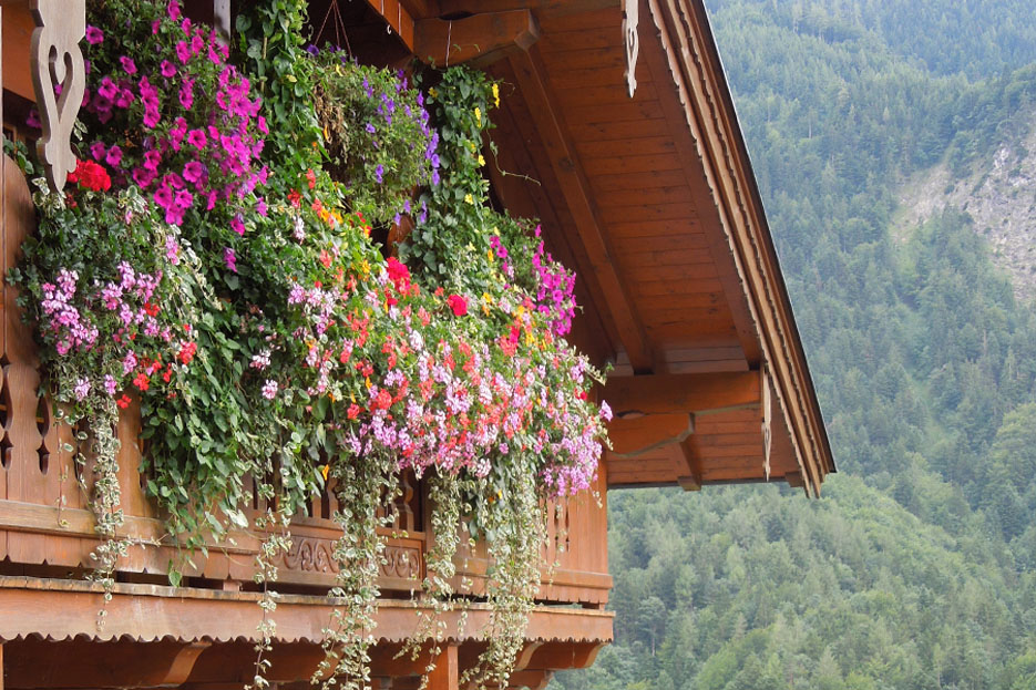 Flower-covered Bavarian balcony in Oberaudorf